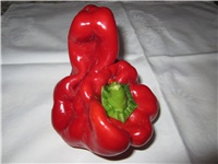 404fa804-Paprike čudne 004.JPG